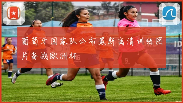 葡萄牙国家队公布最新高清训练图片备战欧洲杯