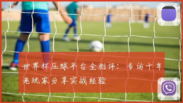 世界杯压球平台全测评:专访十年老玩家分享实战经验