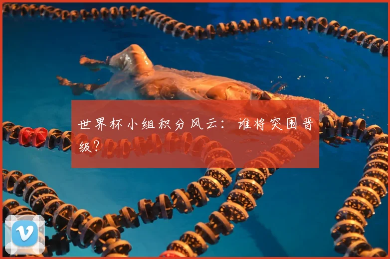 世界杯小组积分风云:谁将突围晋级?