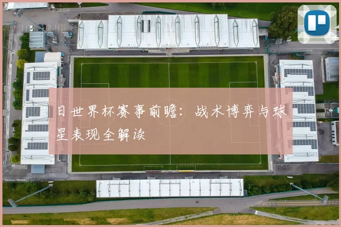 日世界杯赛事前瞻:战术博弈与球星表现全解读