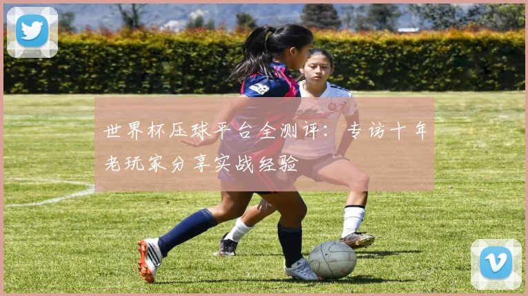 世界杯压球平台全测评:专访十年老玩家分享实战经验