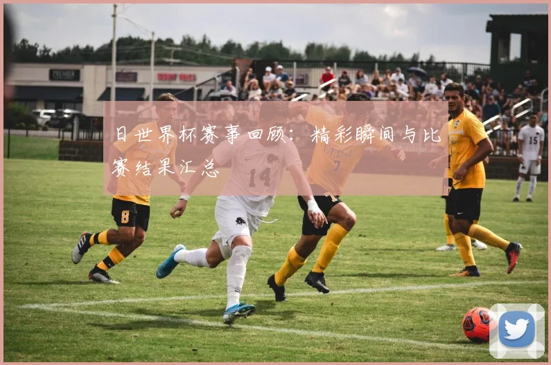 日世界杯赛事回顾:精彩瞬间与比赛结果汇总